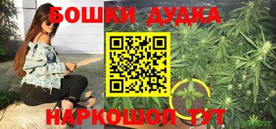 сатива Гусев