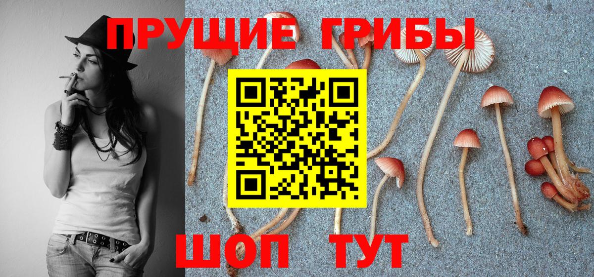 наркотики  Вход с VPN  Псилоцибиновые грибы Psilocybine cubensis  Мценск  Галлюциногенные грибы прущие грибы 